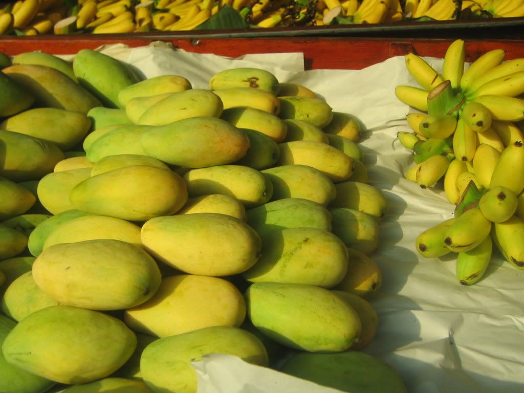 Fruit show- mango