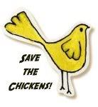 the real save the chicken
