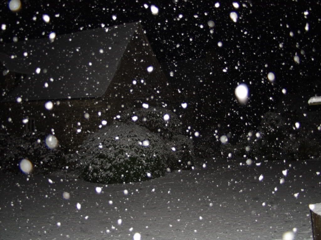 [Image: PC012560.jpg]