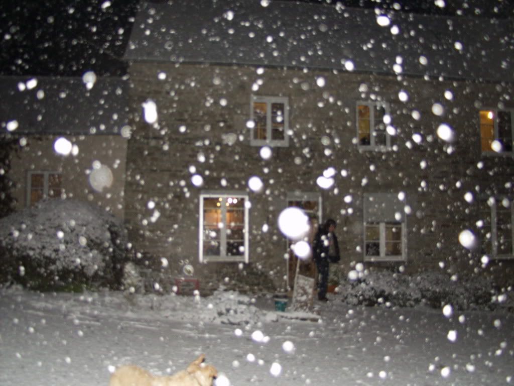 [Image: PC012562.jpg]