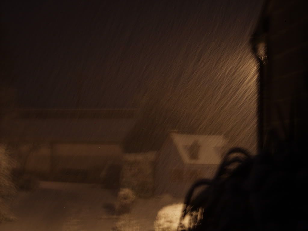 [Image: PC012564.jpg]