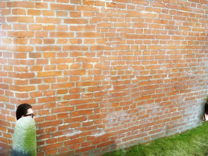 [Image: TraineeNinjas.png]