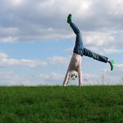 [Image: catwheel.png]