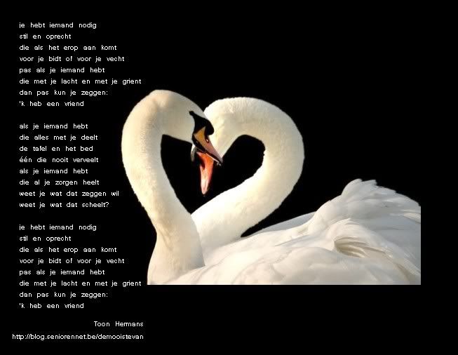 zwaneliefdeeenvriend.jpg vriend image by demooistevan