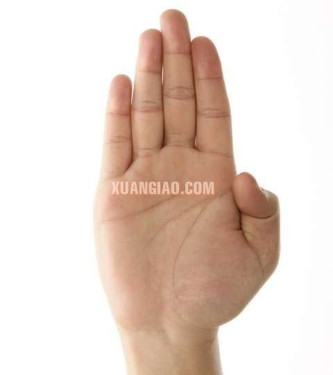 Nhận biết người đàn ông chung thủy qua bàn tay
