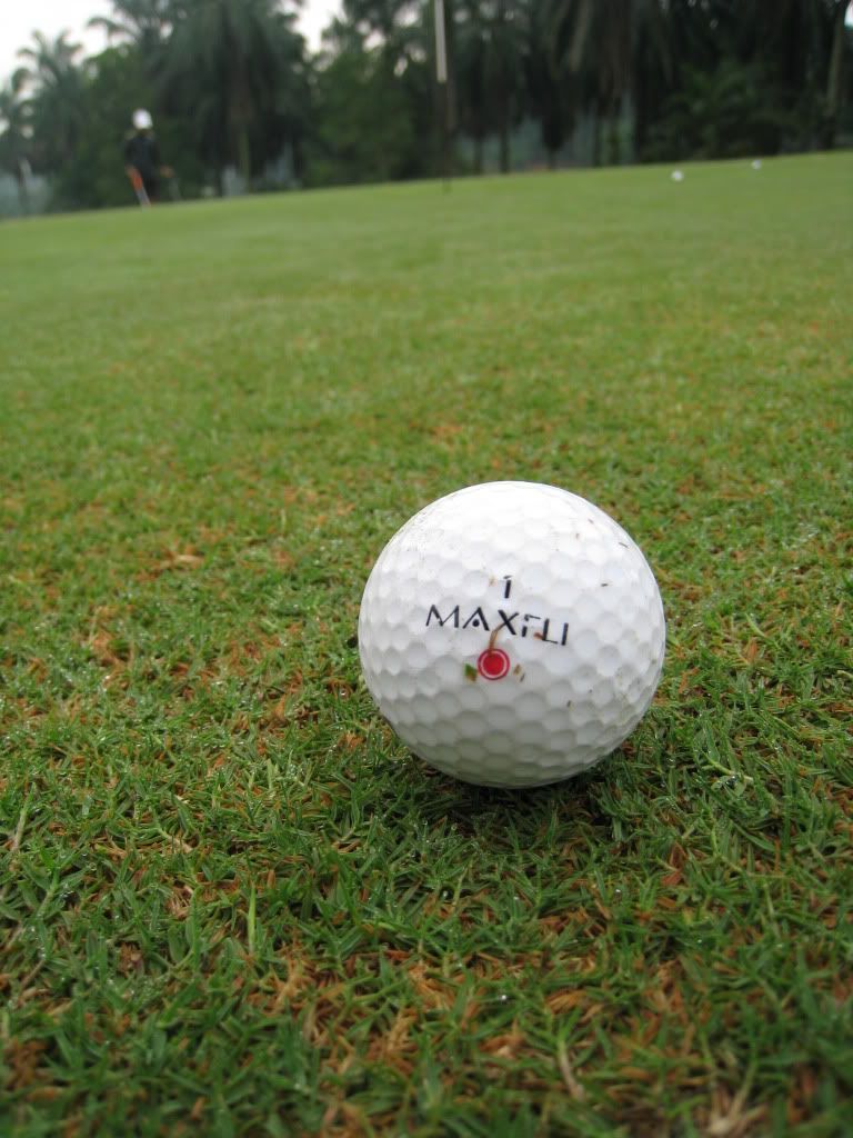 IMG_1357.jpg picture by gilagolf