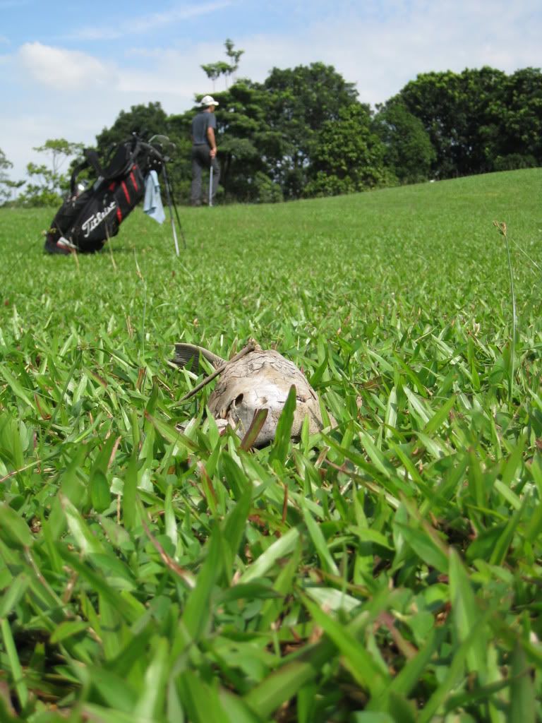 IMG_0995.jpg picture by gilagolf