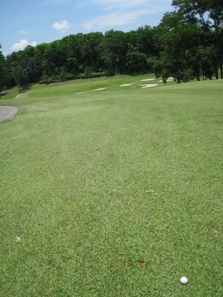 IMG_1102.jpg picture by gilagolf