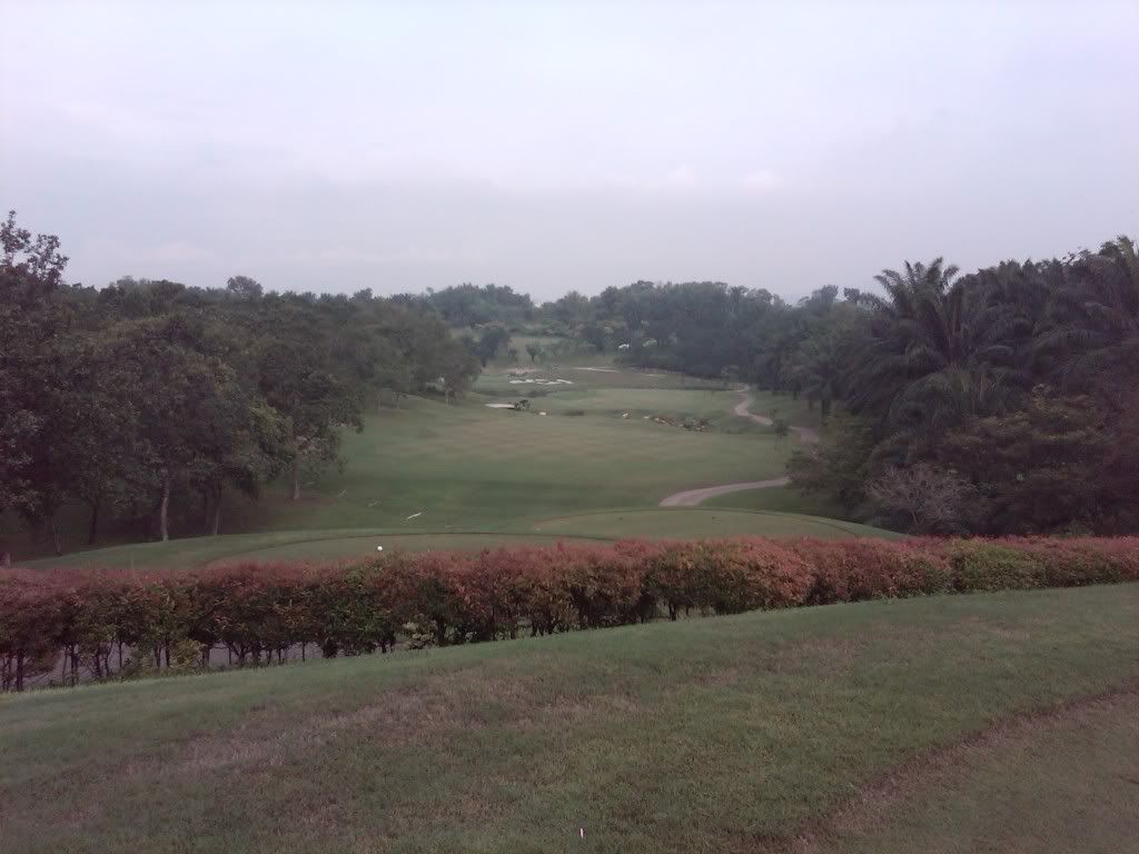 IMG00382-20100716-0946.jpg picture by gilagolf