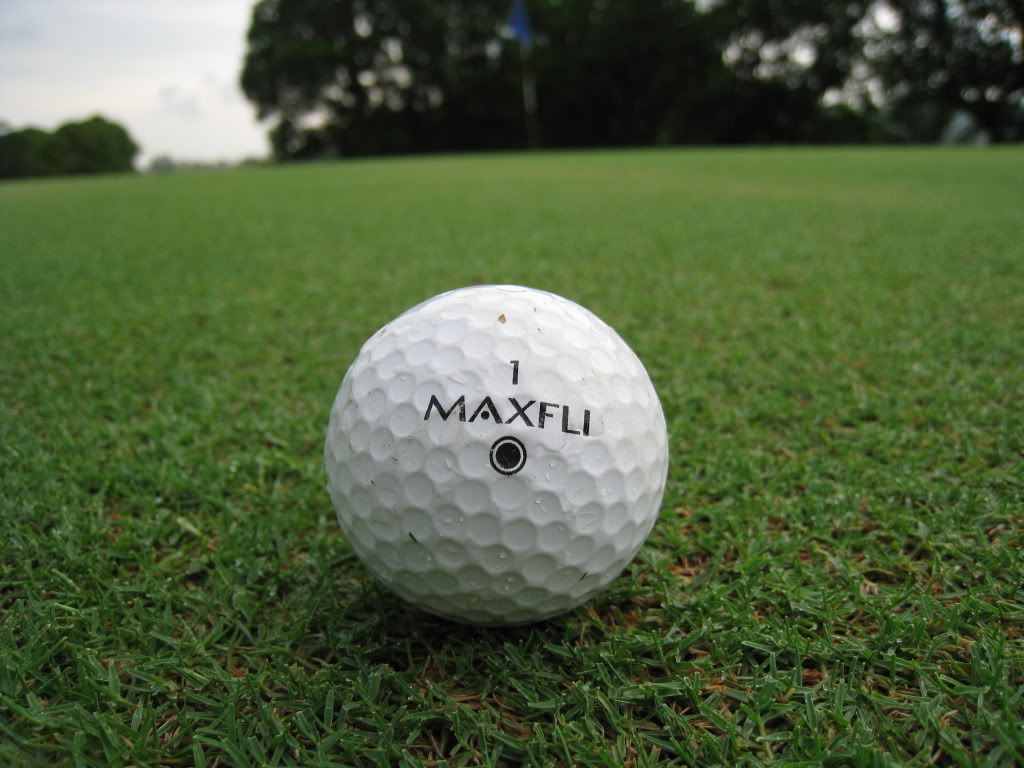 IMG_1259.jpg picture by gilagolf