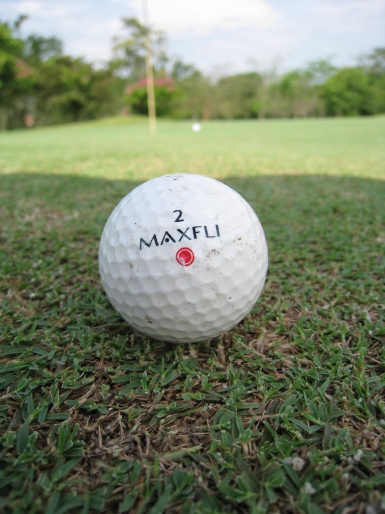 IMG_1145.jpg picture by gilagolf