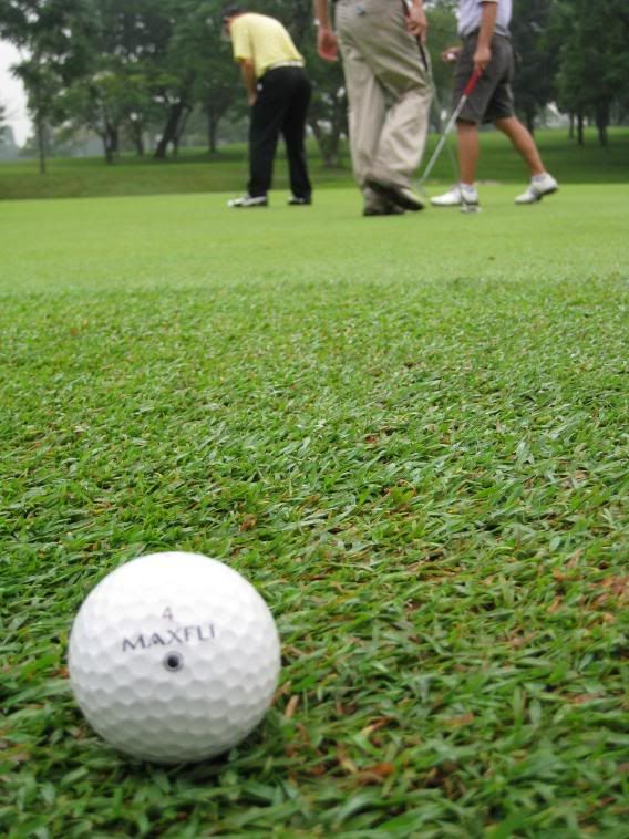 http://i275.photobucket.com/albums/jj282/gilagolf/subang%20national/IMG_0781.jpg