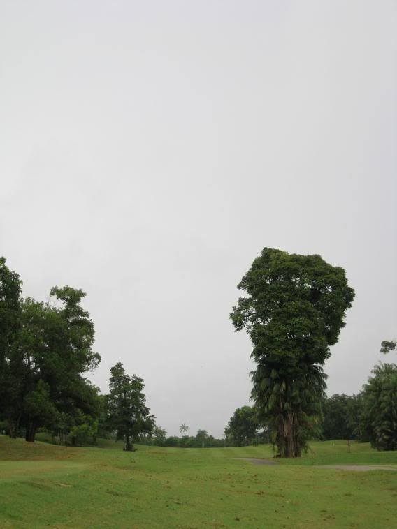 http://i275.photobucket.com/albums/jj282/gilagolf/tiara%20melaka/IMG_0727.jpg