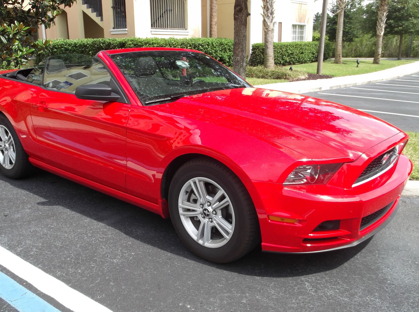 My car, Mustang photo DSCF2143.jpg