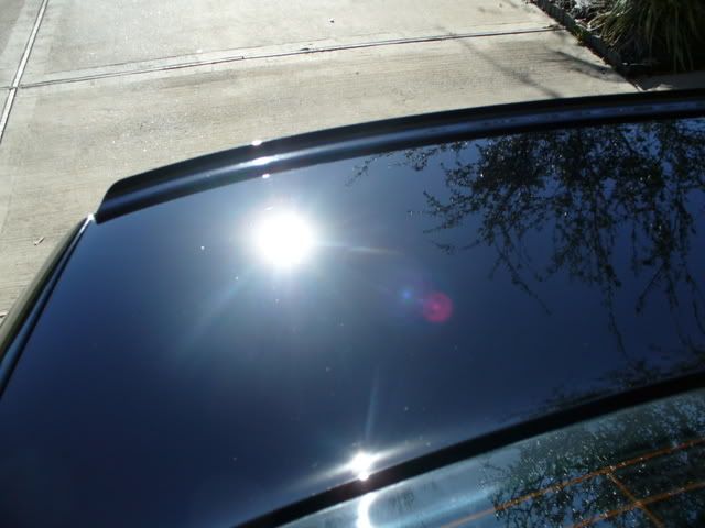 P1020765.jpg