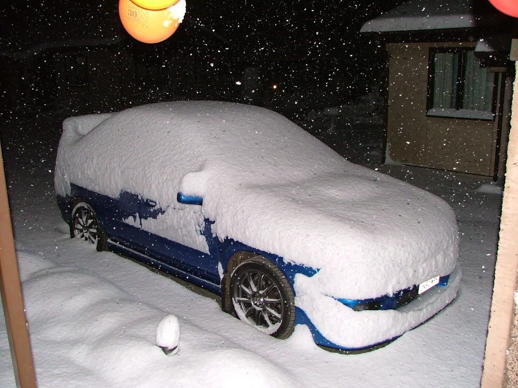 DSCF2913.jpg