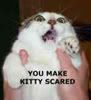 scared kitteh Pictures, Images and Photos