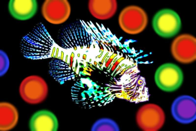 http://i275.photobucket.com/albums/jj287/CrazyBiker/SpinyLionfish.jpg