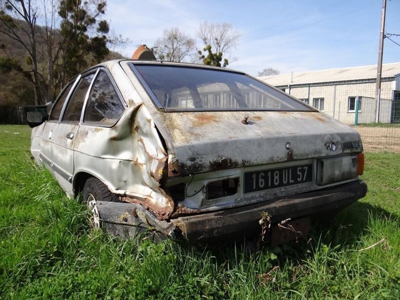 11138517_775959382500029_120134012797050