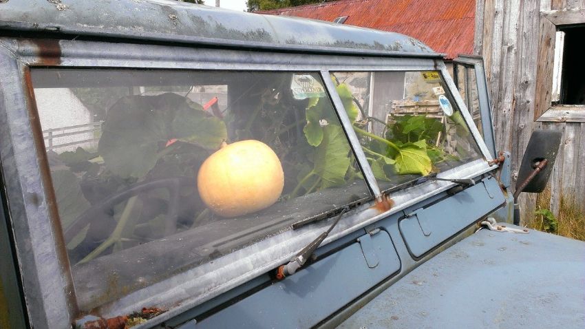 bd747f67-5f46-43c2-a83b-75824c74549e_zps