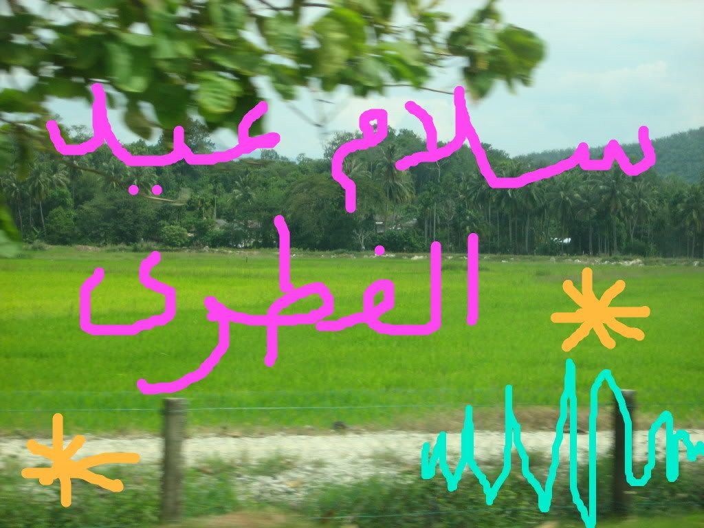 aidilfitri Pictures, Images and Photos