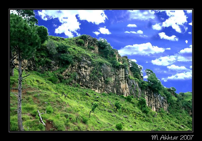 IMAGE: http://i275.photobucket.com/albums/jj289/lota420/2.jpg