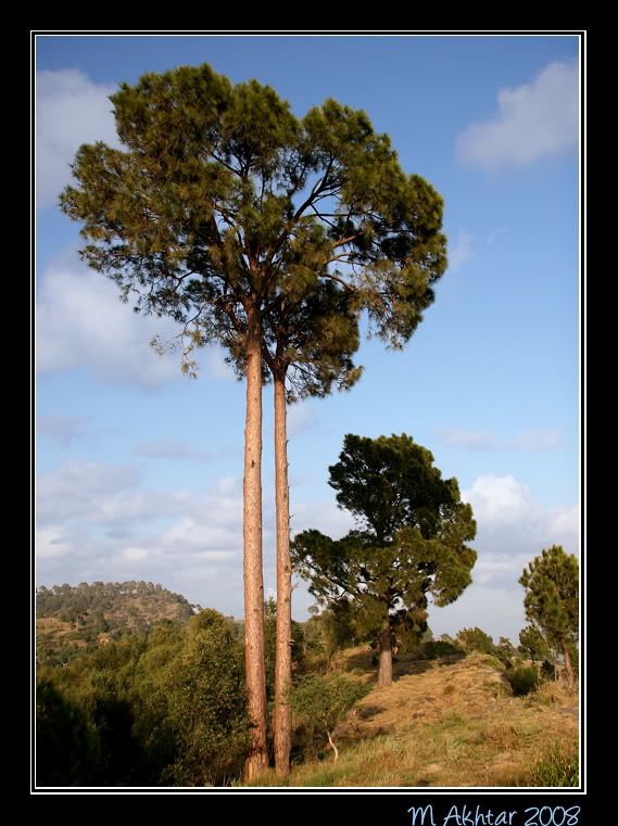 IMAGE: http://i275.photobucket.com/albums/jj289/lota420/IMG_0057.jpg