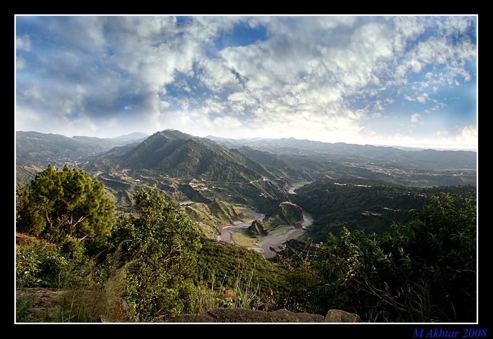 IMAGE: http://i275.photobucket.com/albums/jj289/lota420/IMG_0125.jpg