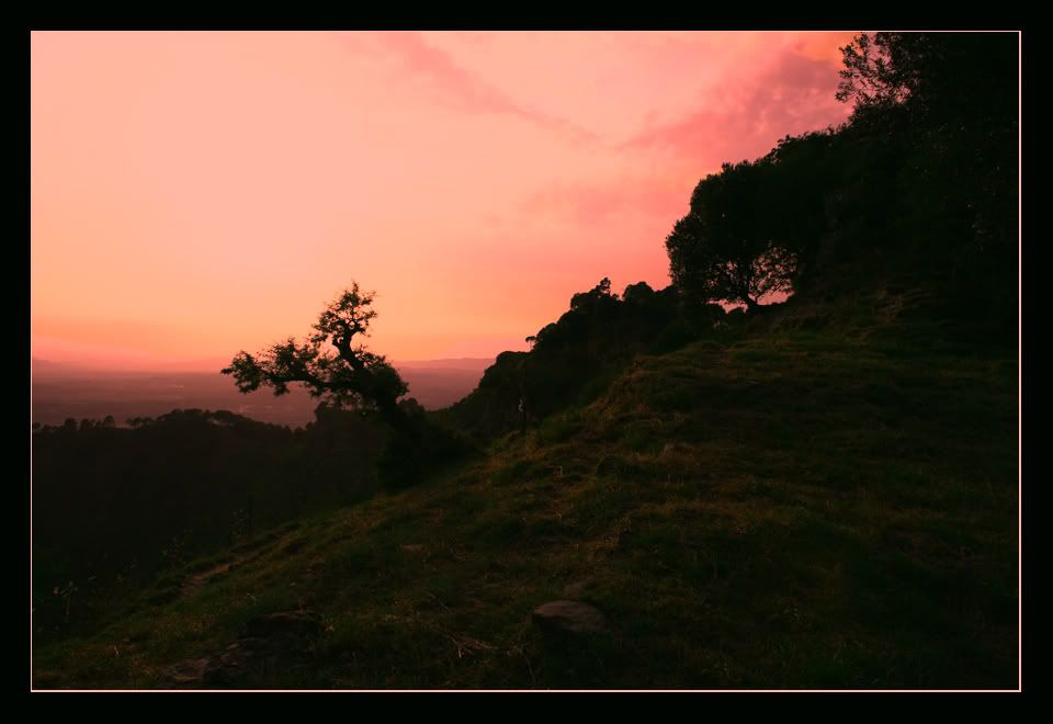 IMAGE: http://i275.photobucket.com/albums/jj289/lota420/IMG_0128copy.jpg