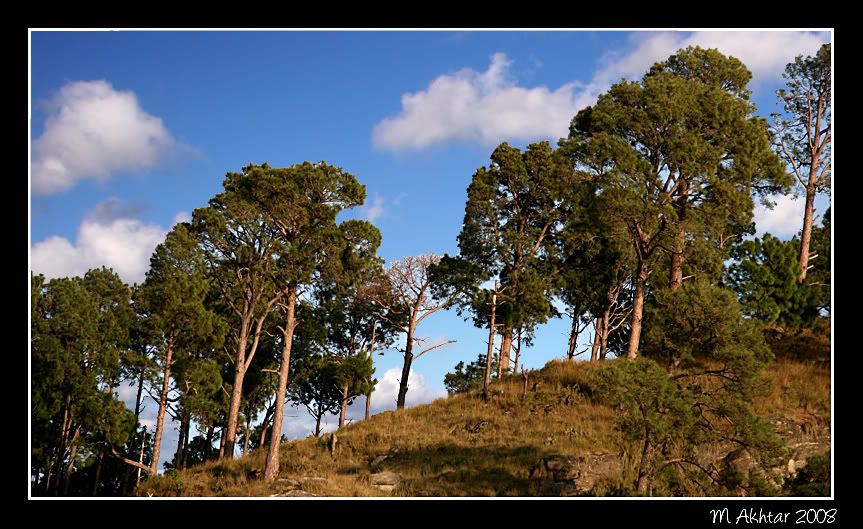 IMAGE: http://i275.photobucket.com/albums/jj289/lota420/IMG_0234.jpg