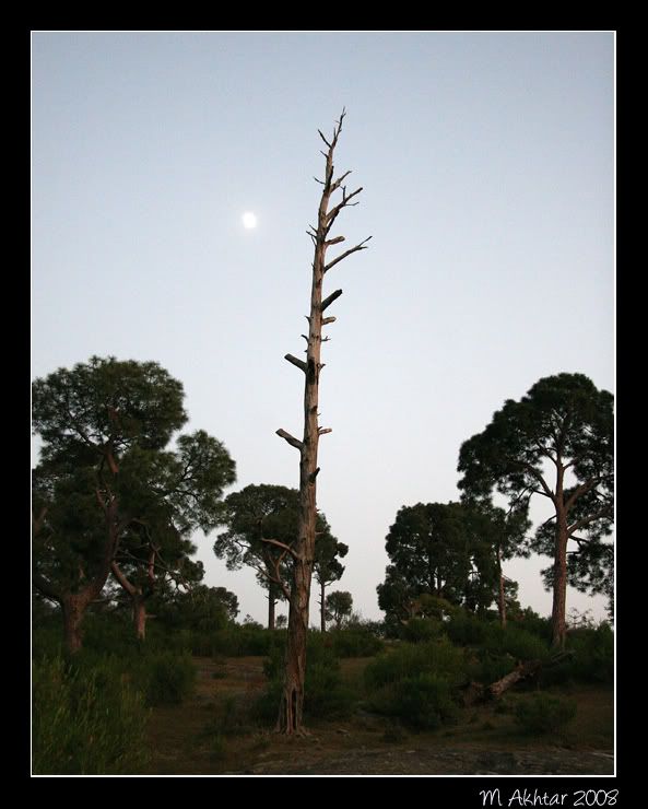 IMAGE: http://i275.photobucket.com/albums/jj289/lota420/IMG_0246.jpg