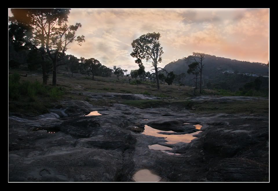 IMAGE: http://i275.photobucket.com/albums/jj289/lota420/IMG_0247.jpg