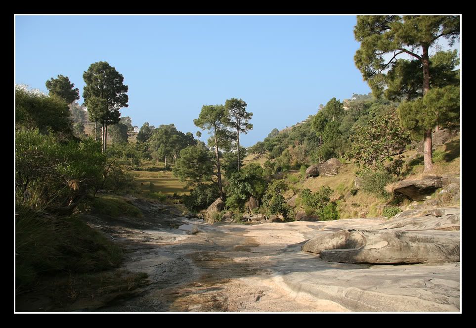 IMAGE: http://i275.photobucket.com/albums/jj289/lota420/IMG_0272.jpg