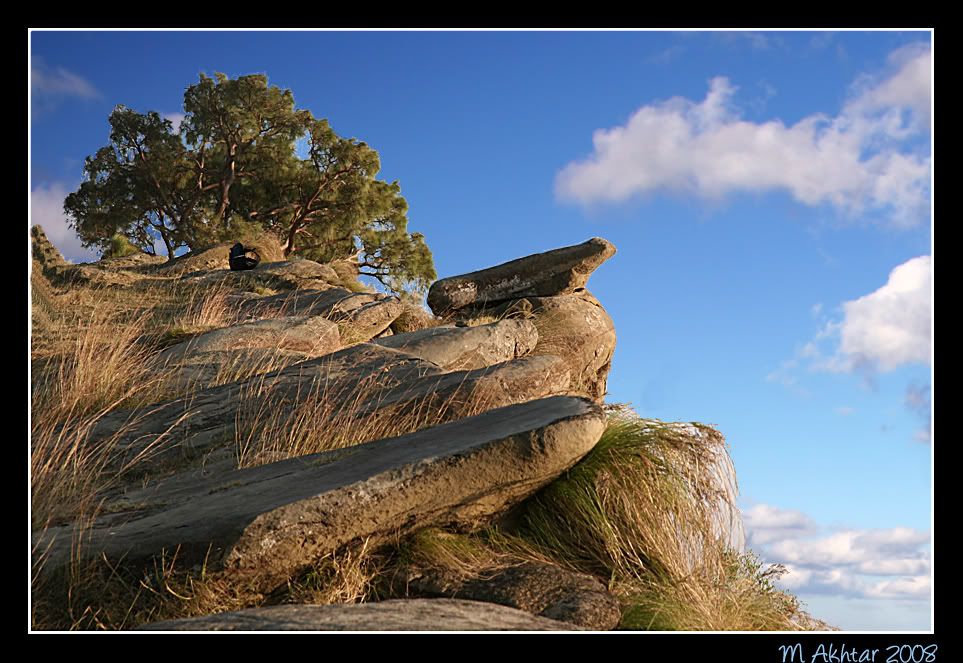 IMAGE: http://i275.photobucket.com/albums/jj289/lota420/IMG_0280fcopy.jpg