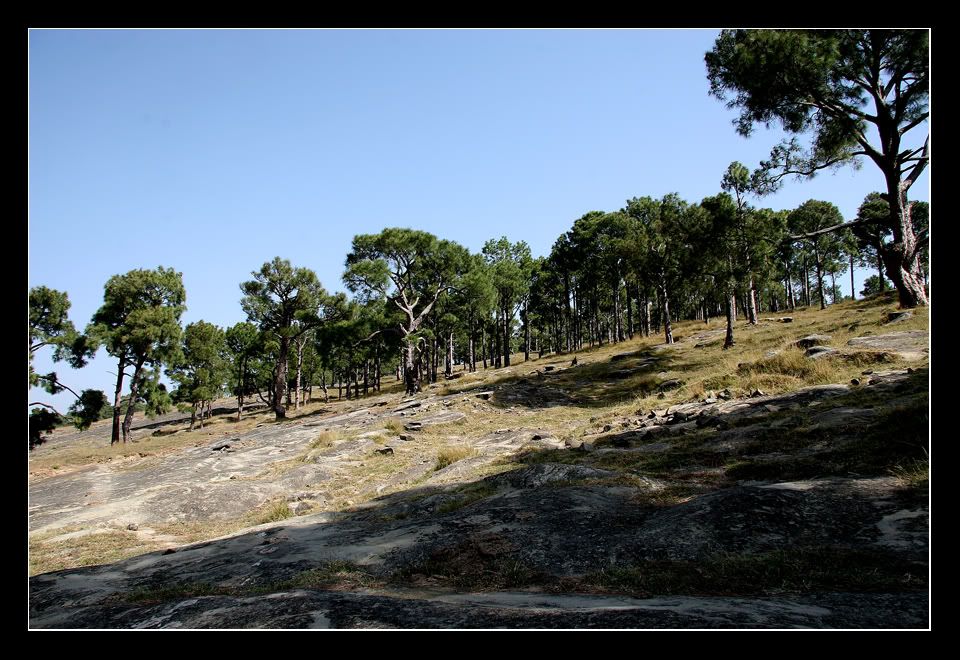 IMAGE: http://i275.photobucket.com/albums/jj289/lota420/IMG_0286.jpg