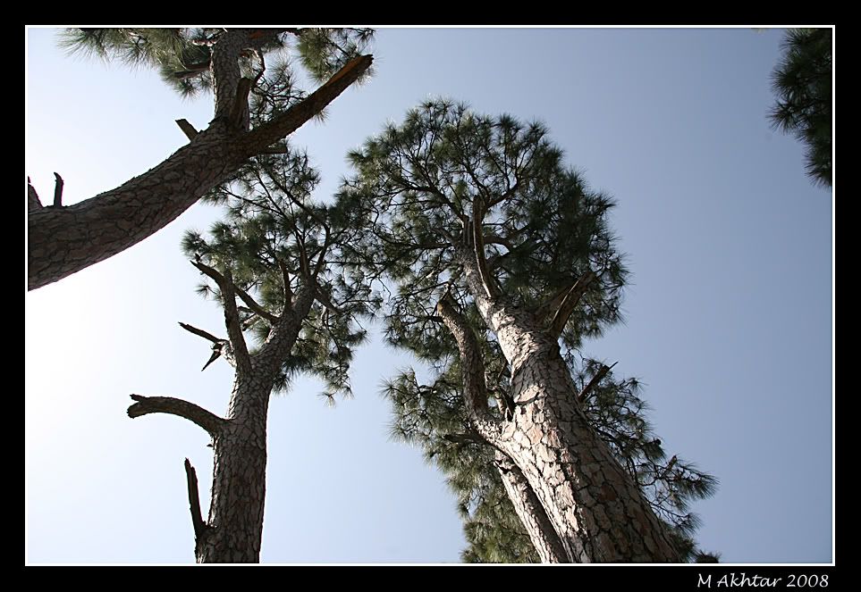 IMAGE: http://i275.photobucket.com/albums/jj289/lota420/IMG_0293.jpg