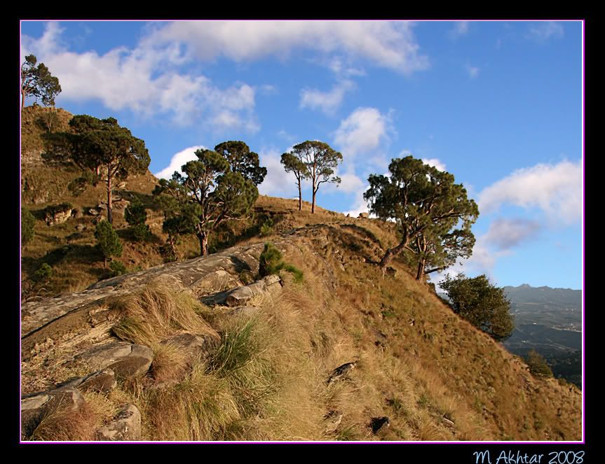 IMAGE: http://i275.photobucket.com/albums/jj289/lota420/IMG_0316.jpg