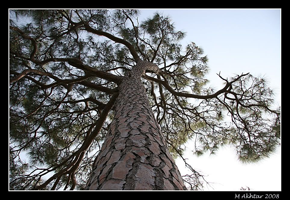 IMAGE: http://i275.photobucket.com/albums/jj289/lota420/IMG_0339.jpg