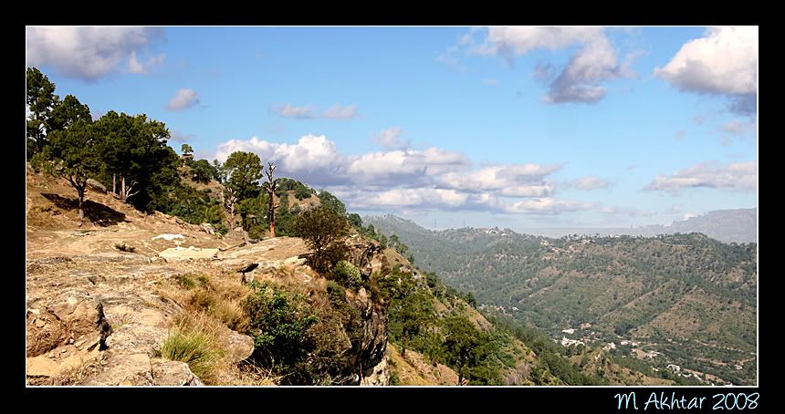 IMAGE: http://i275.photobucket.com/albums/jj289/lota420/IMG_0608.jpg