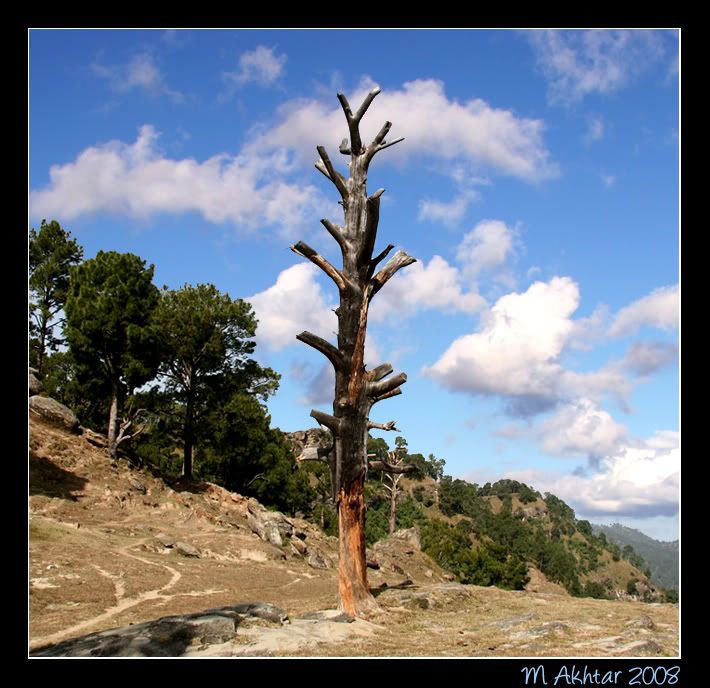 IMAGE: http://i275.photobucket.com/albums/jj289/lota420/IMG_0617copy.jpg