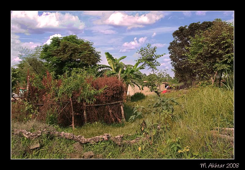 IMAGE: http://i275.photobucket.com/albums/jj289/lota420/IMG_1783copy.jpg