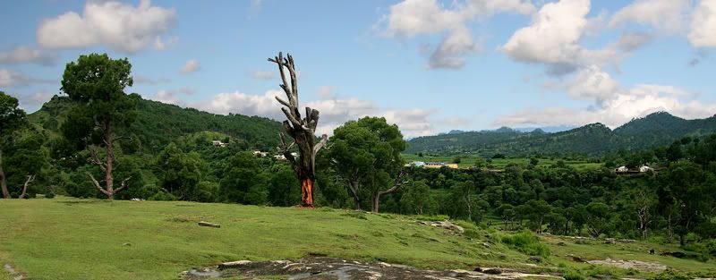 IMAGE: http://i275.photobucket.com/albums/jj289/lota420/IMG_2015.jpg