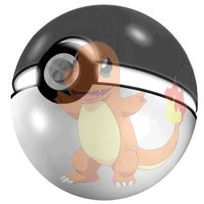 charmander pokemon ball