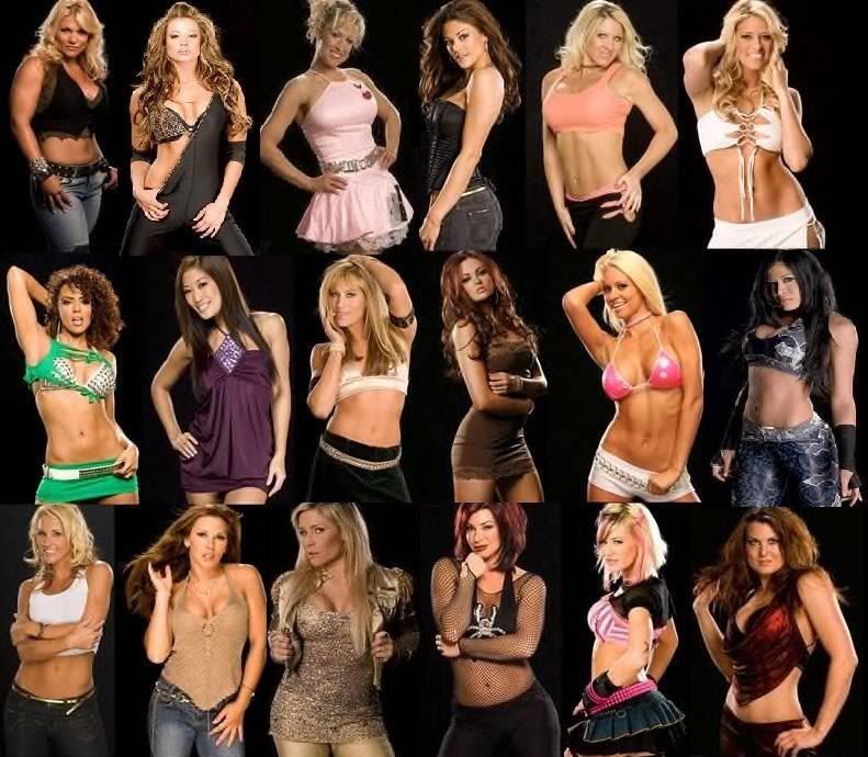 DivasDivas.jpg WWE Divas! image by candicefan100