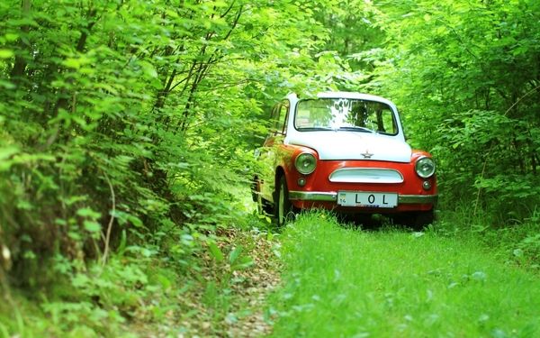 forestszazoldcarsukrainianoffroadclassic