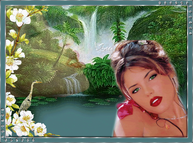cataratas