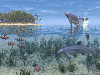 delfines