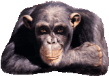 goed zo Pictures, Images and Photos