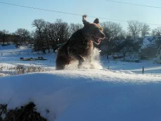 ybdrivingonstacksinwinterfullimage2008.jpg