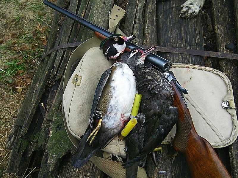 GOODwoodiesingamebagayashotgunshells10-13-2012.jpg